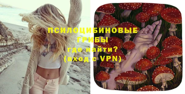 мдпв Покачи